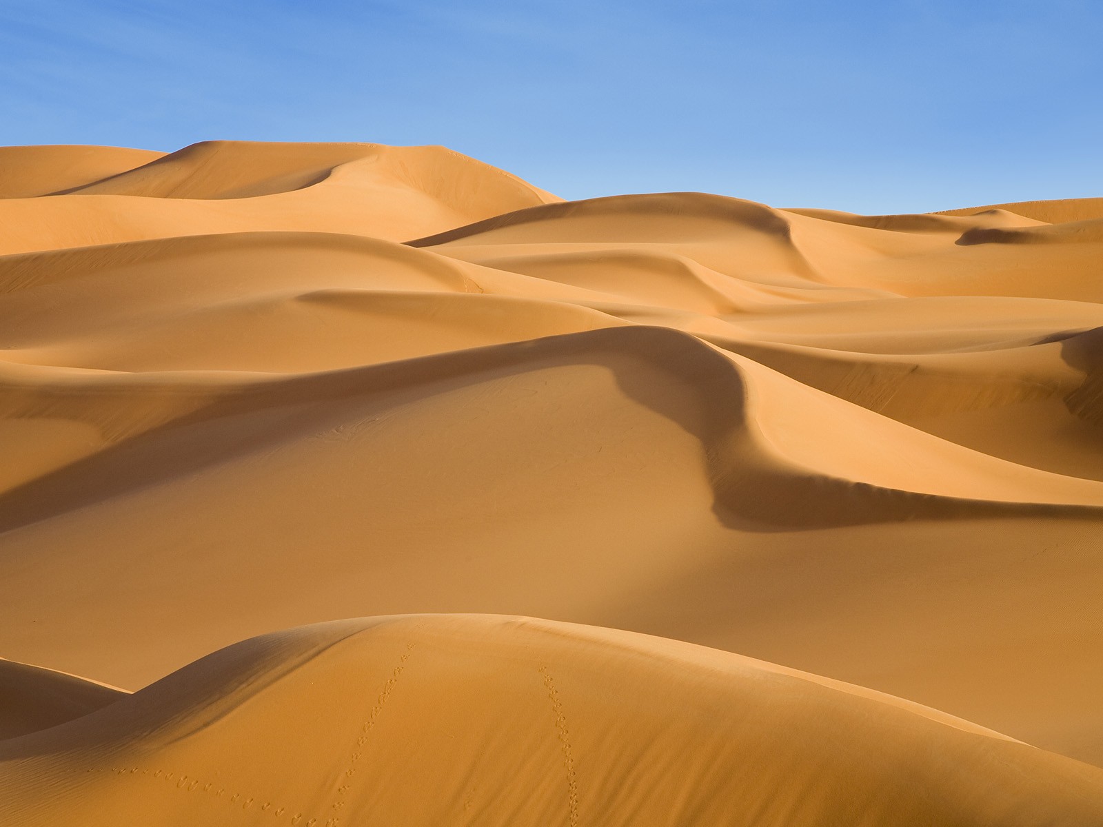 Amazing Desert Landscapes