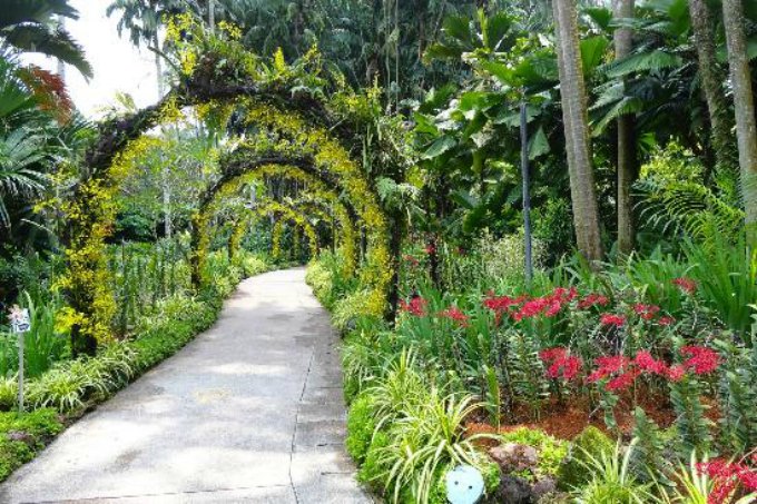 Singapore-Botanic-Gardens
